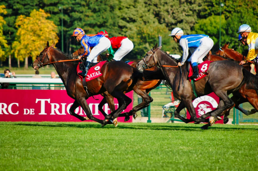 Tuncurry Forster Jockey Club