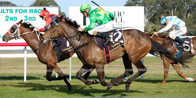 Tuncurry Forster Jockey Club