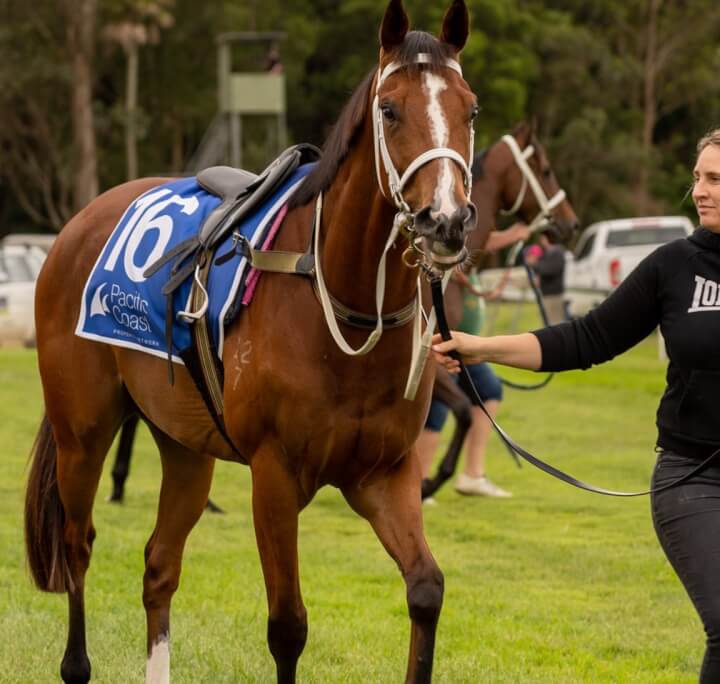 CHRISTMAS PARTY RACE DAY