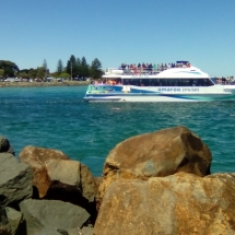 Tuncurry Rock Pool