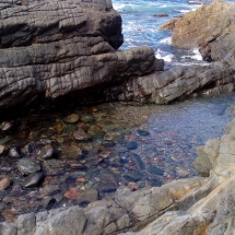 Tuncurry Rock Pool