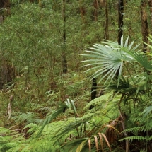 Booti Booti National Park